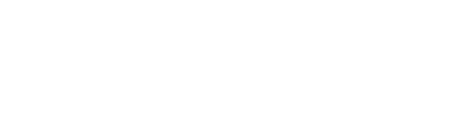 Autoindustriale Mobility Group
